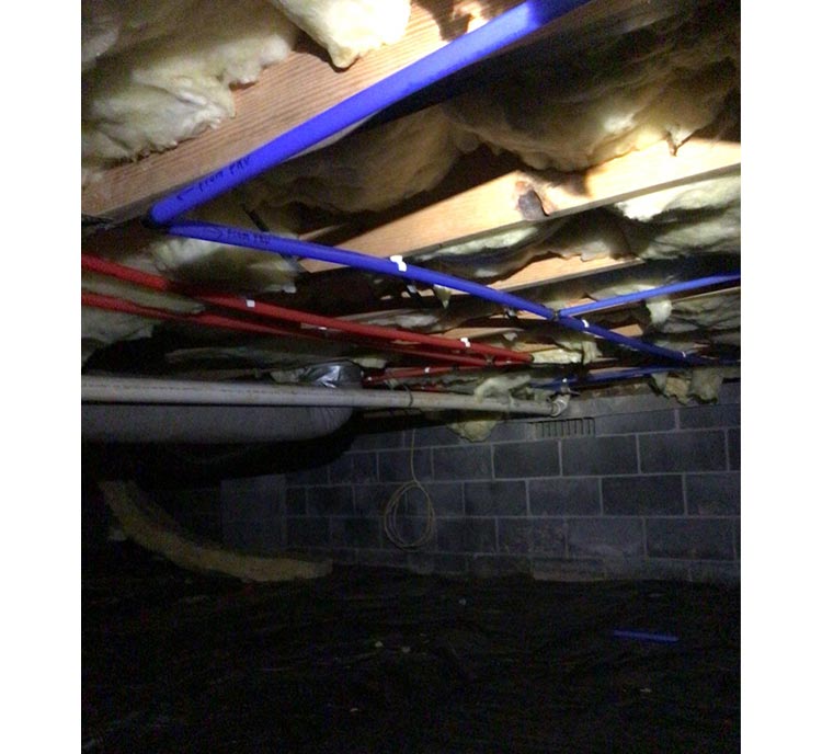 Repiping services
