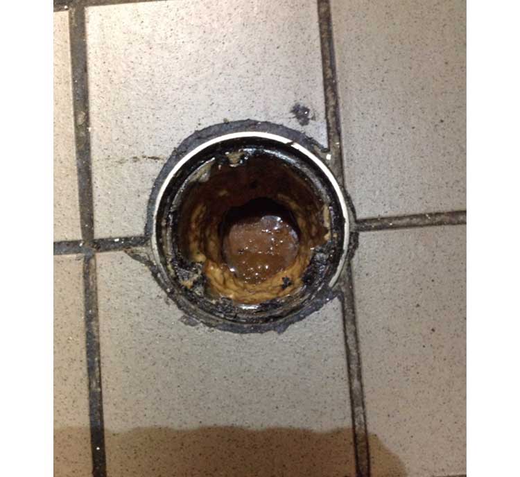 Commercial drain stoppaget